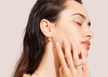 Load image into Gallery viewer, Ellsworth Hoop Earrings - 9kt Yellow Gold